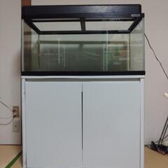 今週末限定値下げ！熊本県手渡し限定！90cm水槽 熊本県の90cm水槽の中古が安い！激安で譲ります・無料であげます