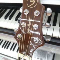 Greg Bennett アコースティックギター D-5SR/Nの画像