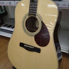 Greg Bennett アコースティックギター D-5SR/Nの画像