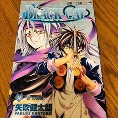 BLACK CAT16巻