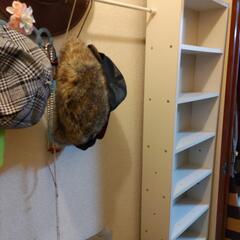 取引調整中【無料】隙間ラック　15cm キャスターの画像