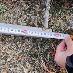 煙突　支持　の画像