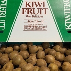 【在庫切れ】☆和歌山県産キウイフルーツ小玉〜5kg【訳あり未完熟品】☆⑤の画像