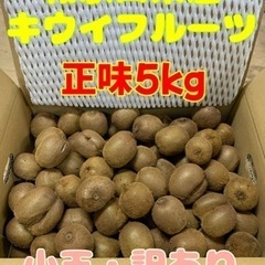 【在庫切れ】☆和歌山県産キウイフルーツ小玉〜5kg【訳あり未完熟...