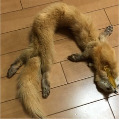 フォックスファー　レトロ　きつね　マフラー　和装　成人式の画像