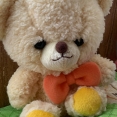 シュエッティーベアの画像