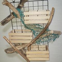 ①流木 観葉植物ポット/小物入れの画像