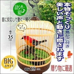 ハミングバード　鳥　小鳥　音センサー　鳴く　鳥のさえずり　鳥のおもちゃの画像