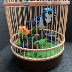 ハミングバード　鳥　小鳥　音センサー　鳴く　鳥のさえずり　鳥のおもちゃの画像