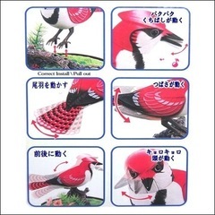 ハミングバード　鳥　小鳥　音センサー　鳴く　鳥のさえずり　鳥のおもちゃの画像