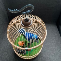 ハミングバード　鳥　小鳥　音センサー　鳴く　鳥のさえずり　鳥のおもちゃの画像