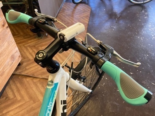 【BIANCHI】カメレオンテ　3x8速　480mm