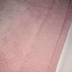 小紋【桜柄】