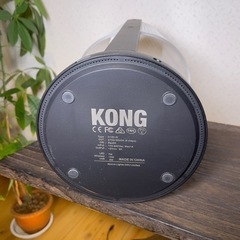 KORG フロアライトの画像