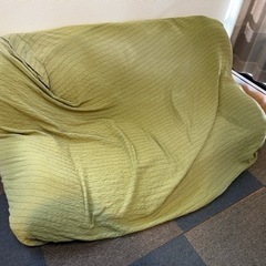 二人がけ、床置きソファ（無料）