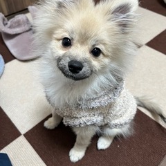 同性のお友達を募集しています！