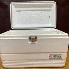 igloo　イグルー　クーラーボックス　 MARINE ULTR...
