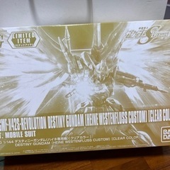 HGCE ハイネ専用デスティニーガンダム (クリアカラー)
