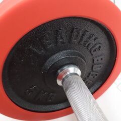 ※まとめ売り※LEADING EDGE ダンベル　30キロ×2 ① LEADING EDGE リーディングエッジ アイアンダンベル 片手40kg×2