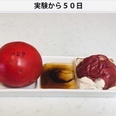 リジュベネーションマット（ファットレスマット）の画像