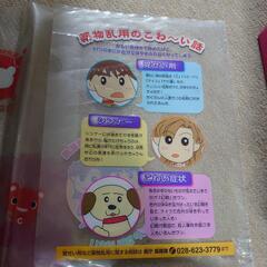 クリアファイル
