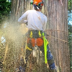 林業 伐採 空師 造園 日額14000円〜22000円＋消費税　職人さん 個人事業主さん 経験者募集!! 現場 作業員 1人親方 アルバイト 仕事 ※未経験者も同時募集！の画像