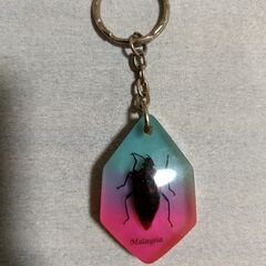 キーホルダー　虫