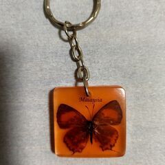 キーホルダー　虫の画像