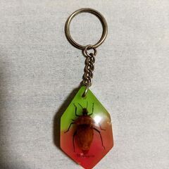 キーホルダー　虫の画像