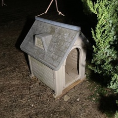 犬小屋欲しい方❗️先着順で