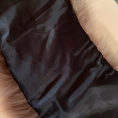 ノースフェイス　ブランケットの画像