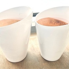 ◆無料◆植木鉢◆Used◆陶器鉢◆斜カット◆2個セット◆