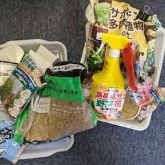 多肉植物やサボテン用のセット　差し上げます。