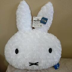 未使用ぬいぐるみ　12体の画像