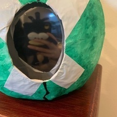 【値下げ】Dr.STONE スイカの被り物(ハリボテ)の画像