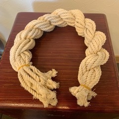 【値下げ】Dr.STONE スイカの被り物(ハリボテ)の画像