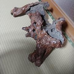 木のこぶ　置物　飾り　オブジェ　古美術　骨董品の画像