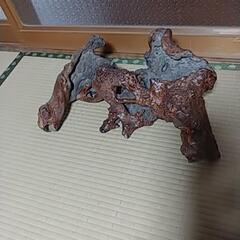 木のこぶ　置物　飾り　オブジェ　古美術　骨董品の画像