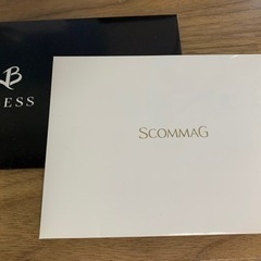 期間限定価格！バラ売り可⭐︎BLESS ネックレス　ペアの画像