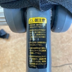 自転車を乗せて🚗³₃TERZO「テルッツォ」SARIS 車載キャリアの画像