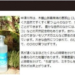 つちまや(槌馬屋)の不思議な水 洗顔後 寝グセ直しに天然の化粧水のうるおい 500mlの画像