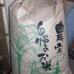 お米ヒノヒカリ　20キロ　玄米