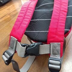 LITTLE Life　ベビーリュック　ハーネス付の画像