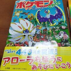【美品】ポケモンをさがせ！サン＆ムーン