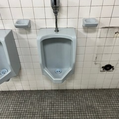 TOTO U57小便器求む