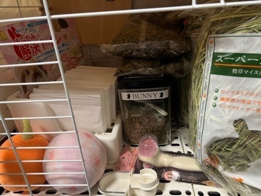 うさぎ　ペット　飼育用品　ゲージ　小屋