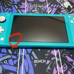 ニンテンドーSwitch lite 中古品　実働の画像