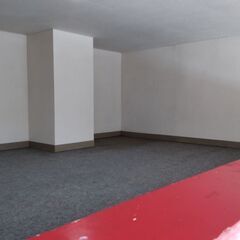 新品同様！壁紙リフォーム　張り替えではなく「塗り替え！」　驚きの...