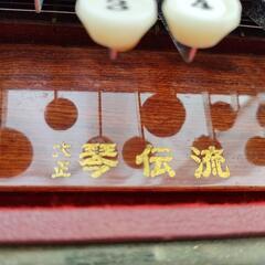 大正琴 琴伝流 さつき 専用ハードケース付の画像