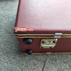 大正琴 琴伝流 さつき 専用ハードケース付の画像